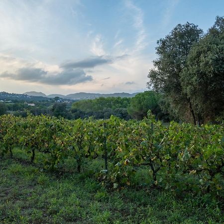 Casa Rural El Bruguer Vell Santa Eulalia de Ronsaná Eksteriør bilde