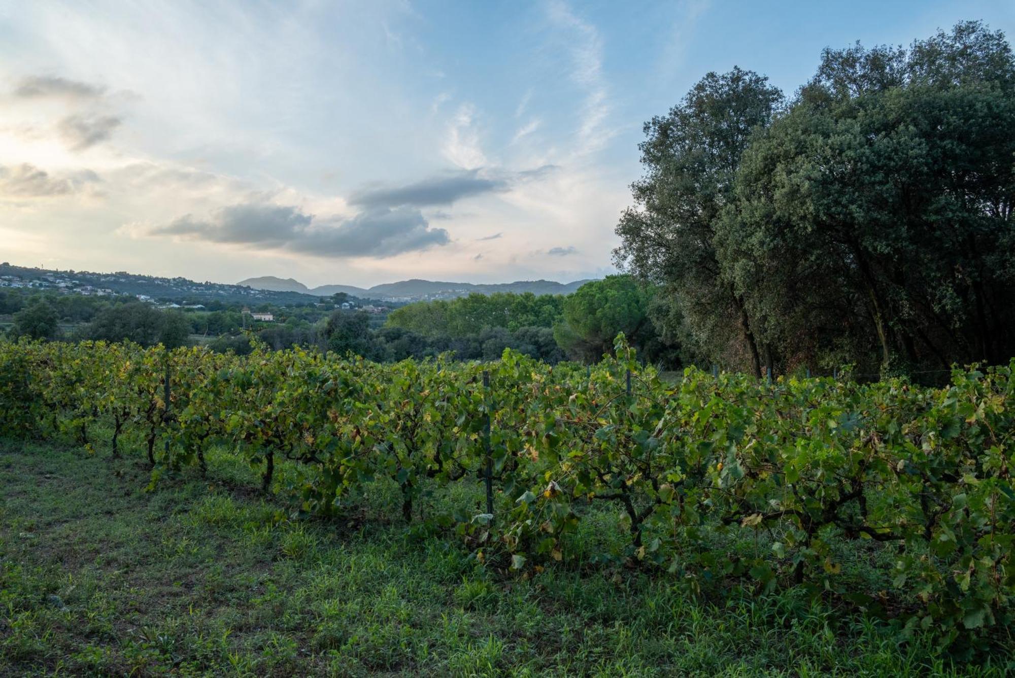 Casa Rural El Bruguer Vell Santa Eulalia de Ronsaná Eksteriør bilde